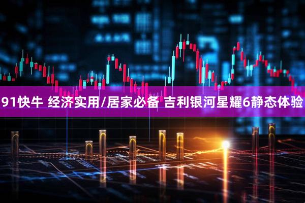 91快牛 经济实用/居家必备 吉利银河星耀6静态体验
