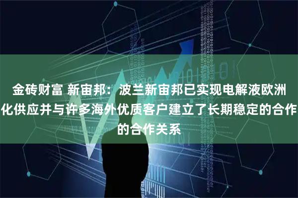 金砖财富 新宙邦：波兰新宙邦已实现电解液欧洲本地化供应并与许多海外优质客户建立了长期稳定的合作关系