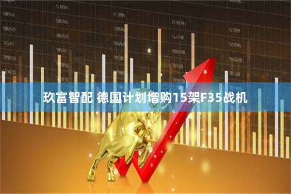 玖富智配 德国计划增购15架F35战机