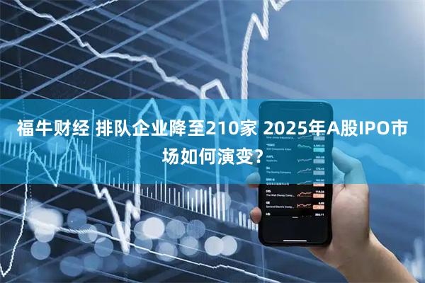 福牛财经 排队企业降至210家 2025年A股IPO市场如何演变？