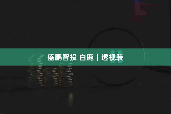 盛鹏智投 白鹿｜透视装