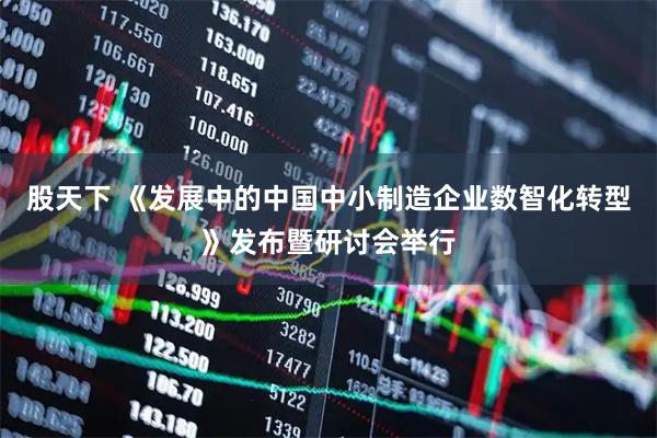 股天下 《发展中的中国中小制造企业数智化转型》发布暨研讨会举行