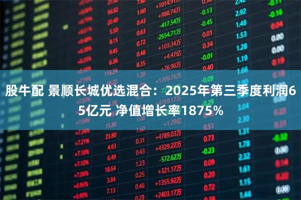 股牛配 景顺长城优选混合：2025年第三季度利润65亿元 净值增长率1875%